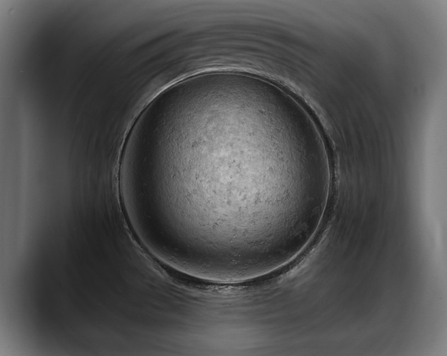 X0000088651529200705251451