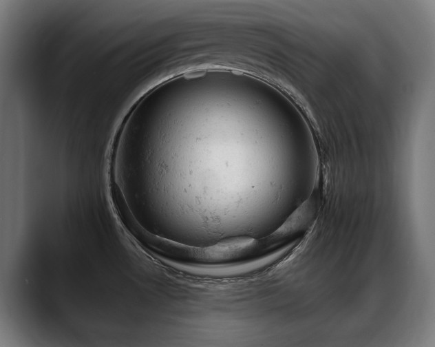 X0000088651530200705251451
