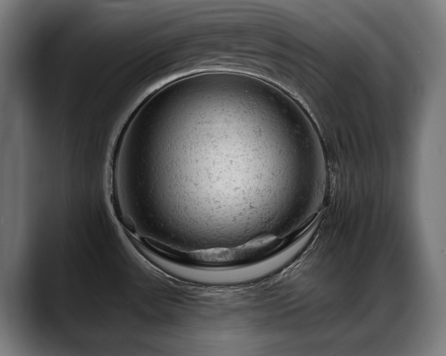 X0000088651531200705251451
