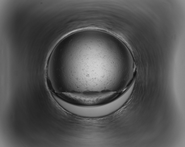X0000088651532200705251451