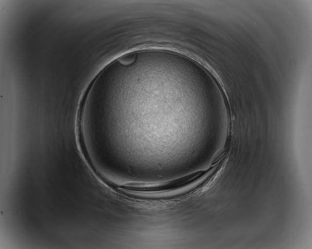 X0000088651533200705251451