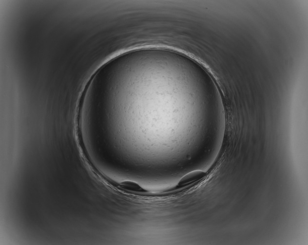 X0000088651534200705251451