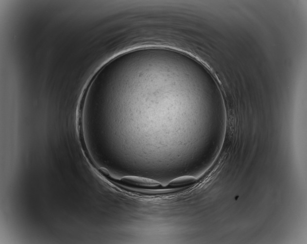 X0000088651535200705251451
