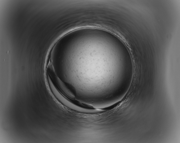 X0000088651536200705251451