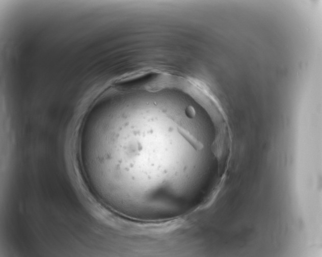 X0000088650001200706011230