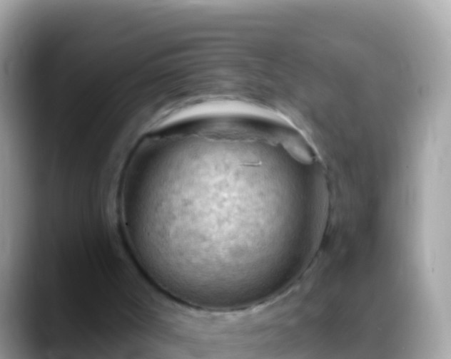 X0000088650002200706011230