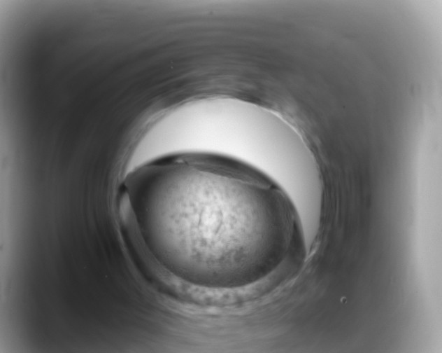 X0000088650003200706011230