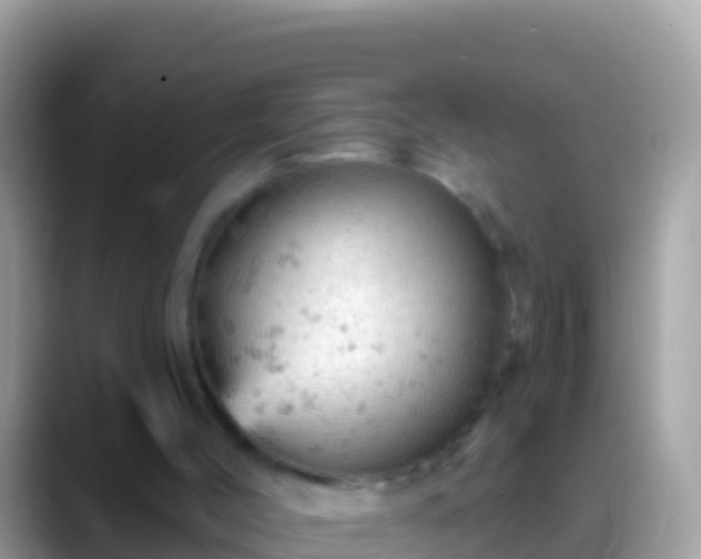 X0000088650004200706011230