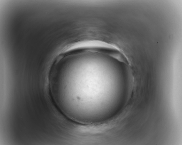 X0000088650005200706011230