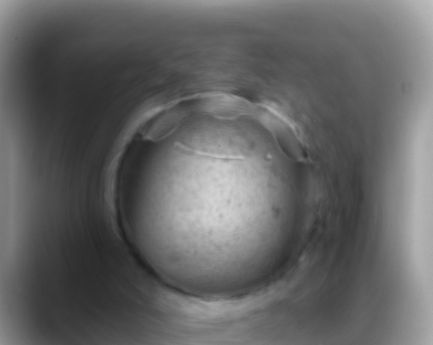 X0000088650006200706011230