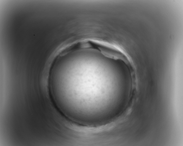 X0000088650007200706011230