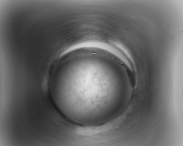 X0000088650009200706011230