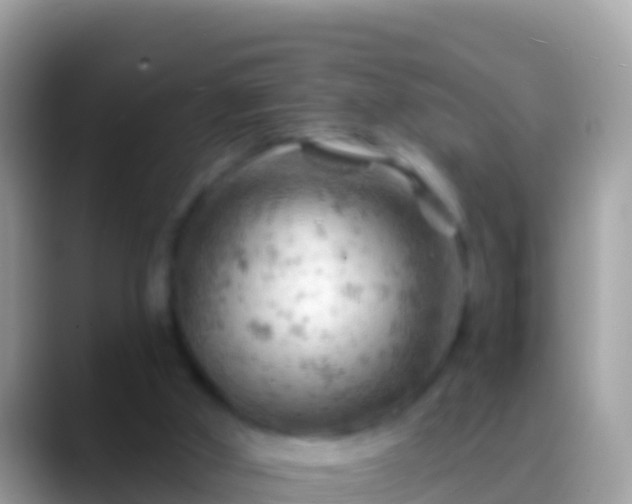 X0000088650010200706011230