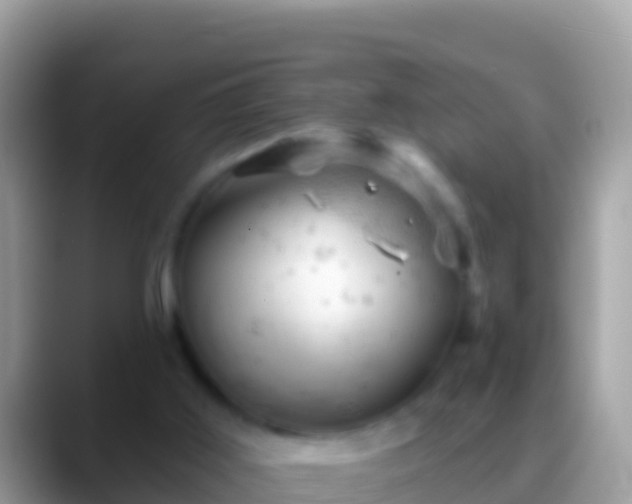 X0000088650011200706011229