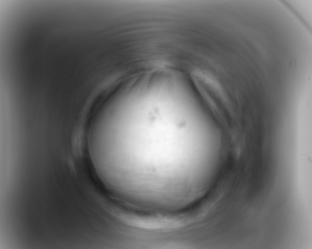 X0000088650012200706011229