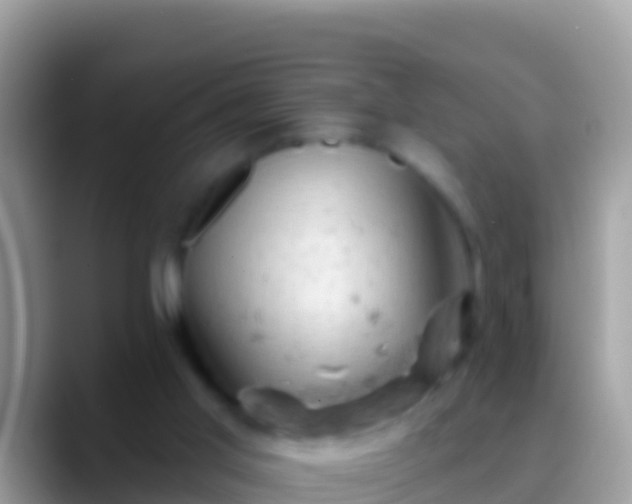 X0000088650013200706011229