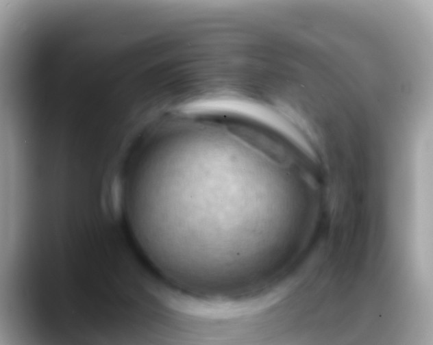 X0000088650014200706011229