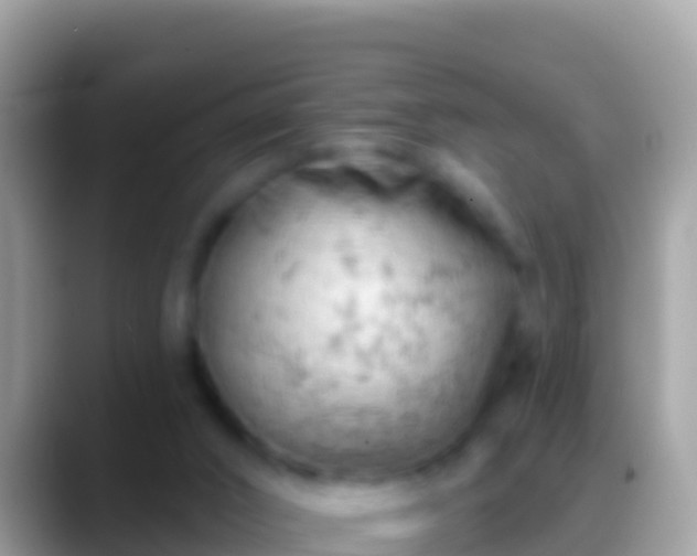 X0000088650016200706011229