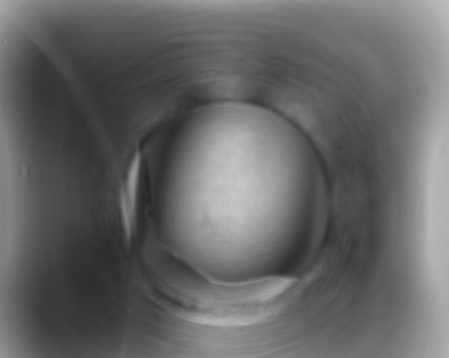 X0000088650017200706011229