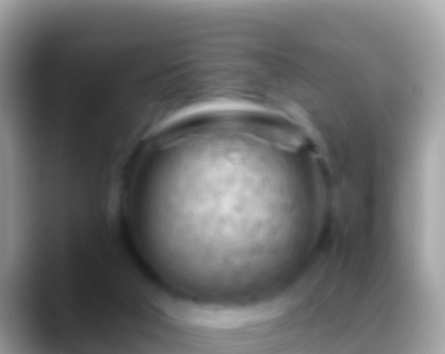 X0000088650018200706011229