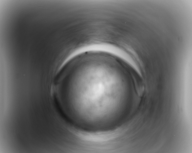 X0000088650019200706011229