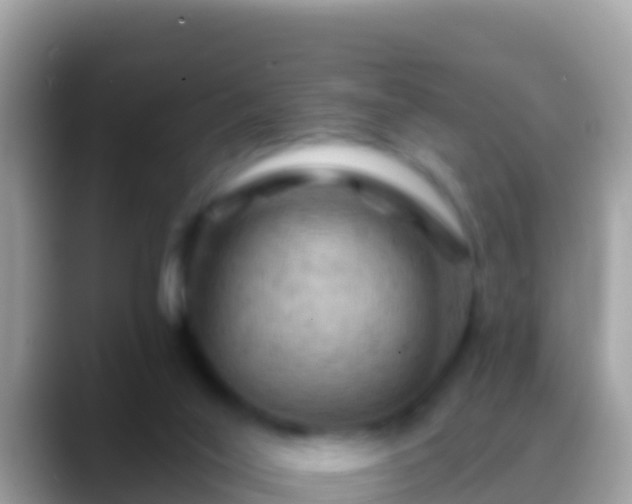 X0000088650020200706011229