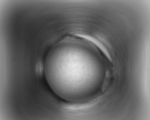 X0000088650021200706011229