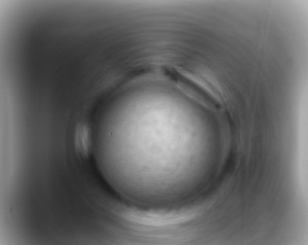 X0000088650022200706011229