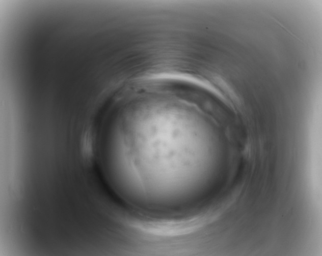 X0000088650023200706011229