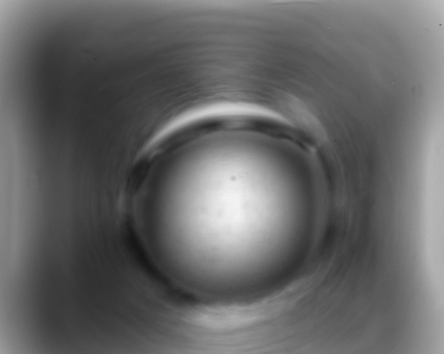 X0000088650025200706011229