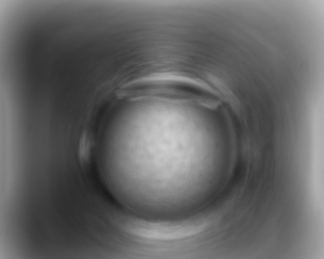 X0000088650026200706011229