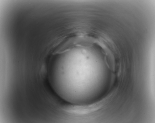 X0000088650029200706011229