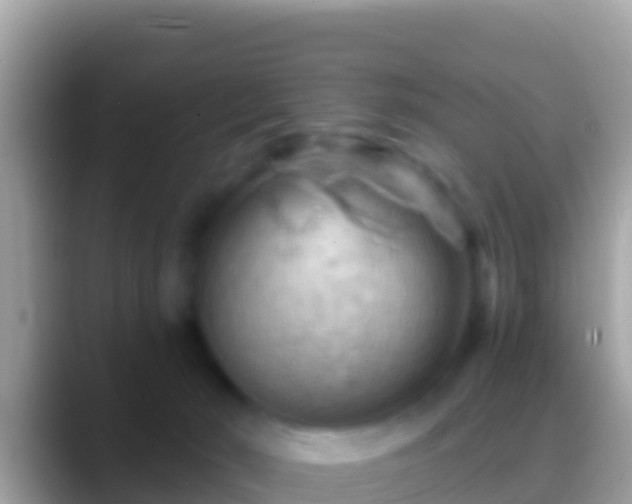 X0000088650030200706011229