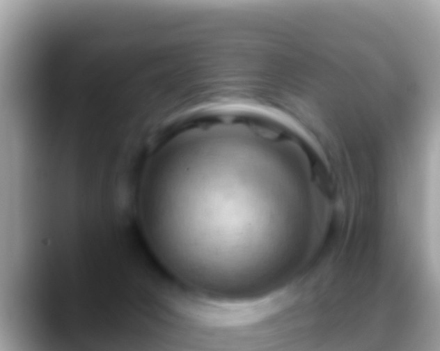 X0000088650031200706011229