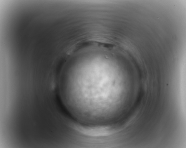 X0000088650032200706011229