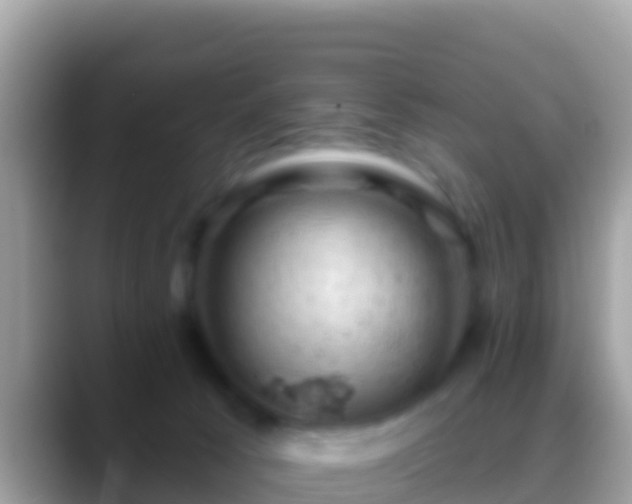 X0000088650033200706011229