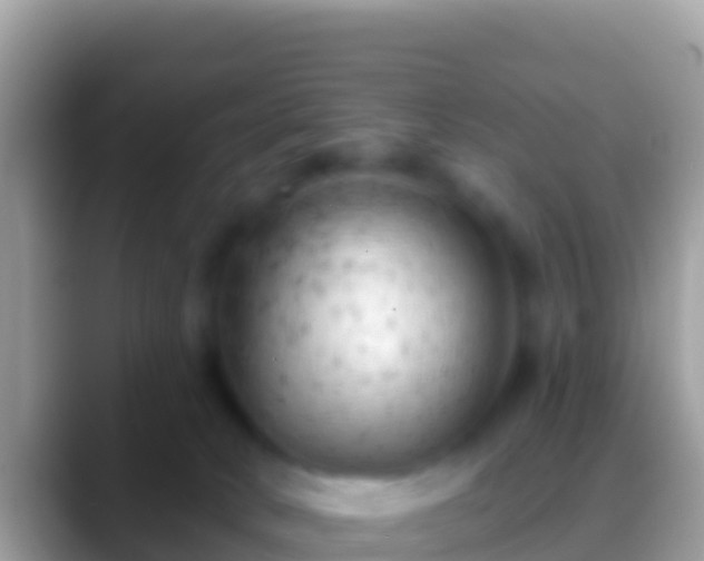 X0000088650034200706011229