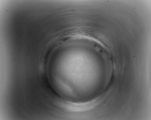 X0000088650035200706011229