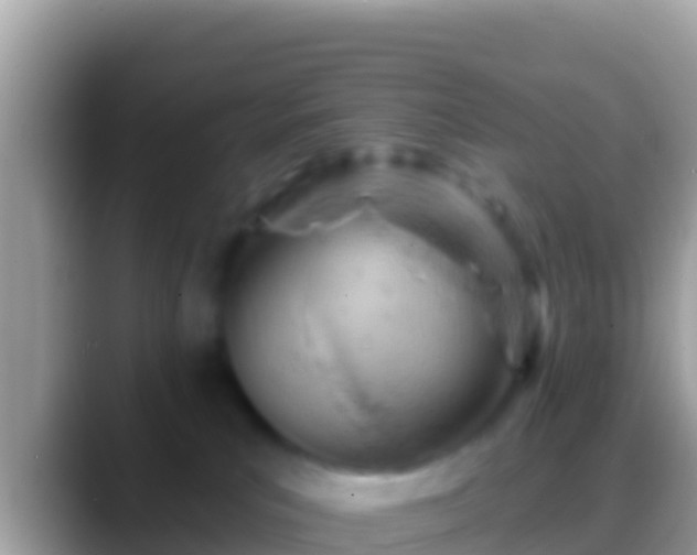 X0000088650039200706011229