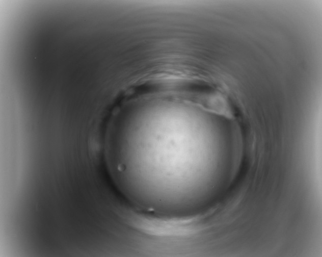 X0000088650040200706011229