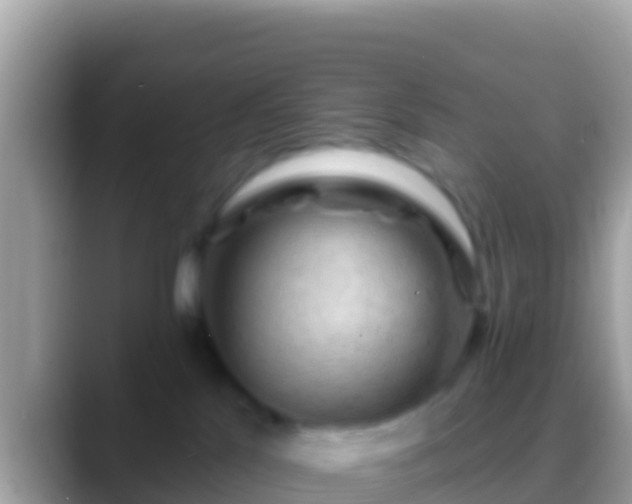 X0000088650041200706011229