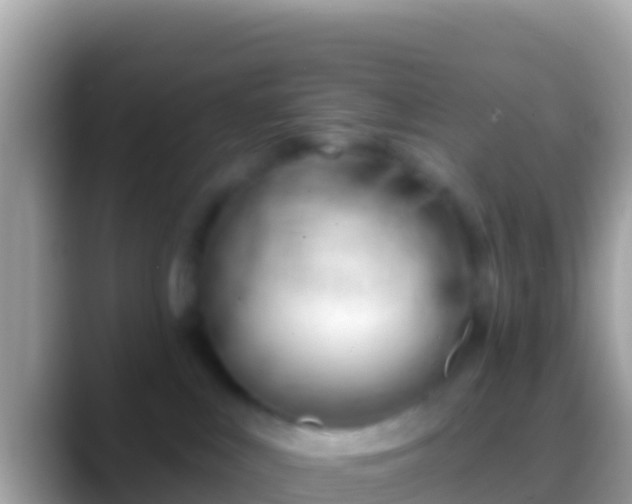 X0000088650043200706011229