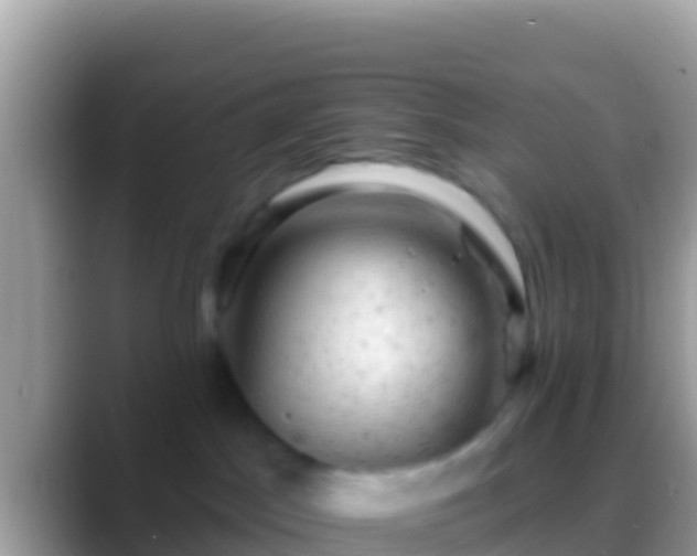 X0000088650045200706011229