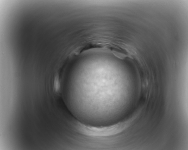 X0000088650046200706011229