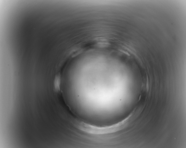 X0000088650047200706011229