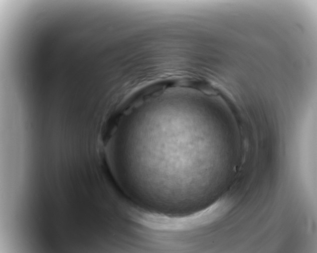 X0000088650048200706011229