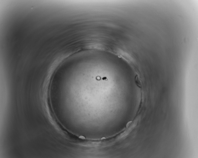 X0000088650049200706011228