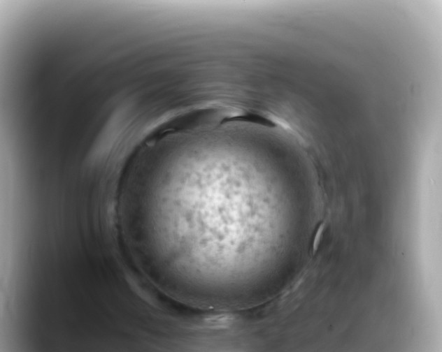 X0000088650050200706011228