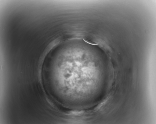 X0000088650051200706011228