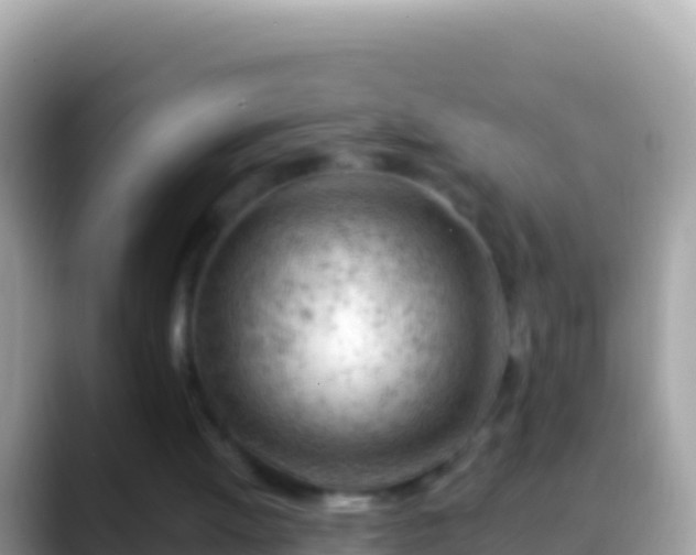 X0000088650052200706011228